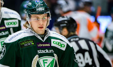 Mikael Hedlund