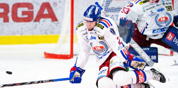 Nichlas Torp