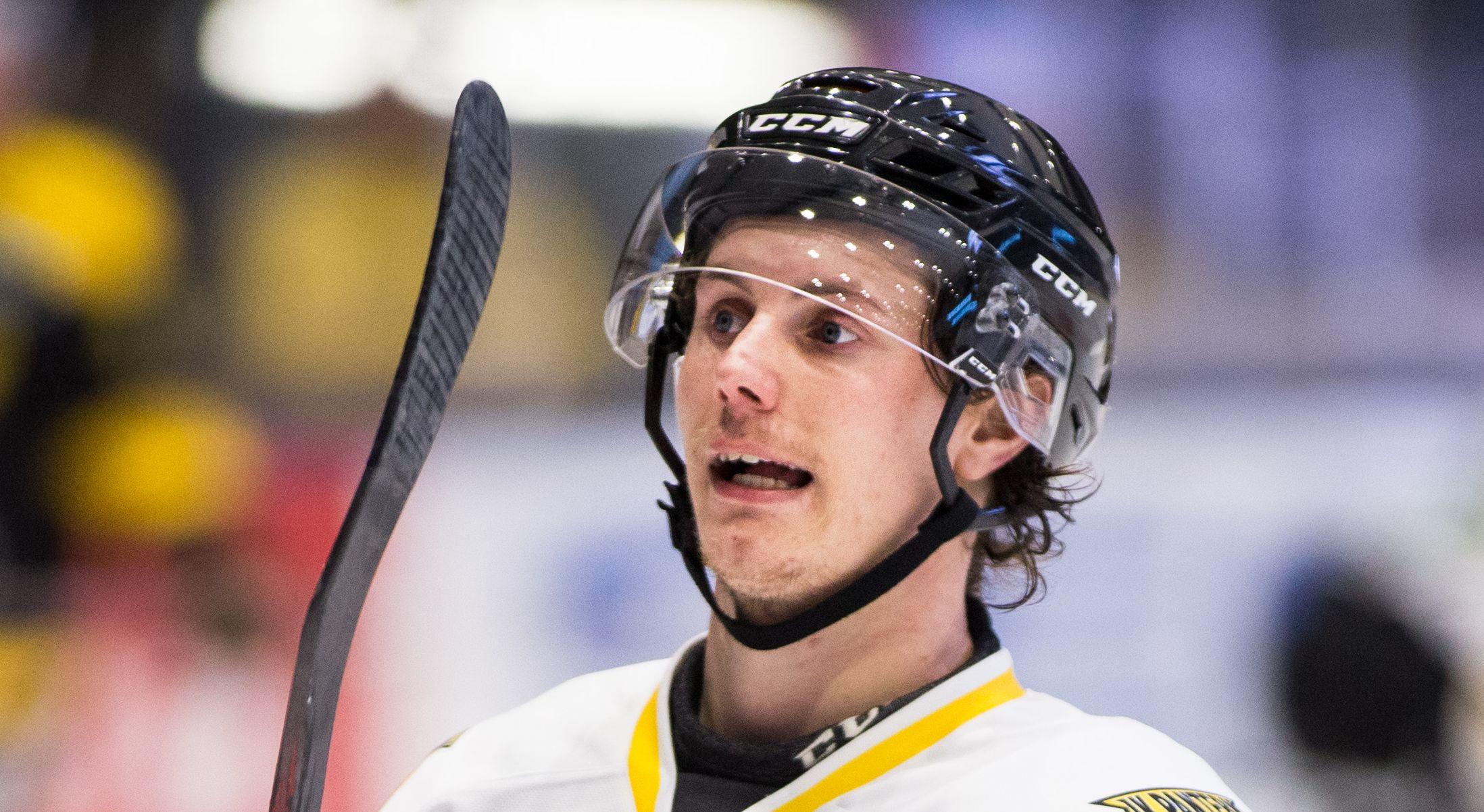 Ytterligare en slagkraftig Södertälje-värvning