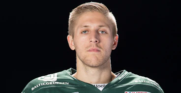 Niklas Pavel