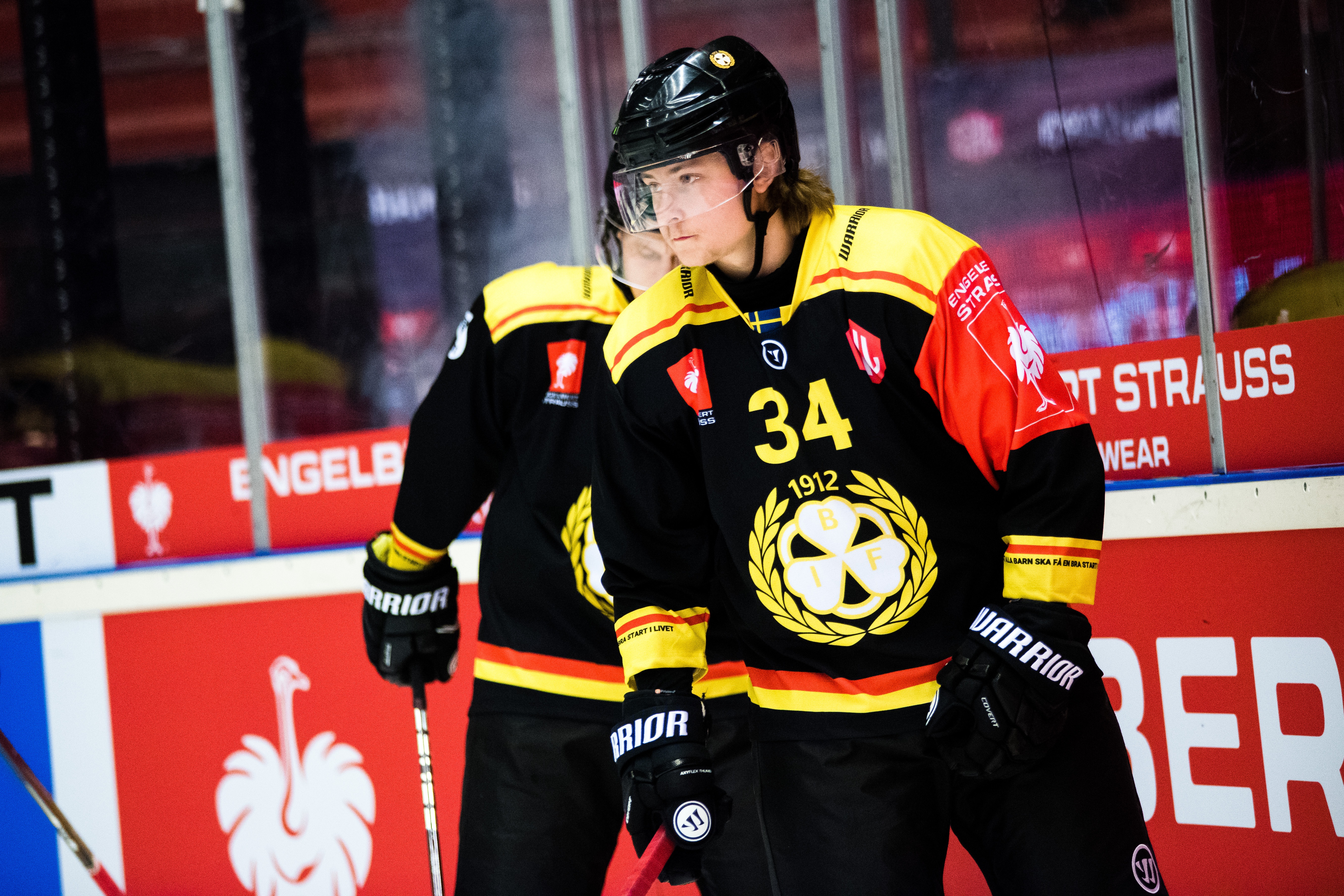 Spelat i Brynäs - nu klar för Vita Hästen