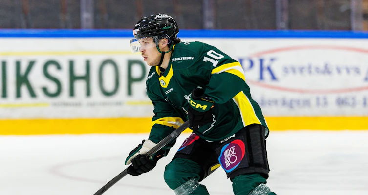 Fyra spelare lämnar HockeyAllsvenskan-laget