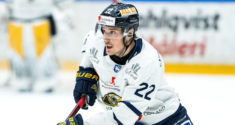 Blir kvar i HockeyAllsvenskan-nykomlingarna - går in på sjunde raka säsongen i klubben
