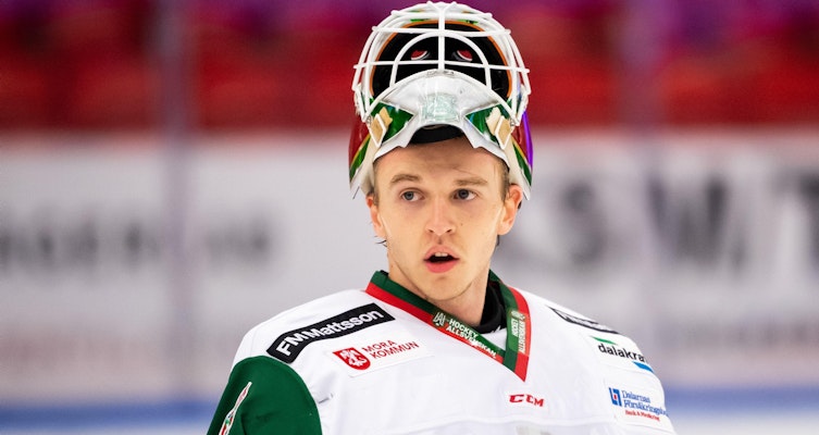 AHL-meriterad målvakt klar för spel i HockeyAllsvenskan