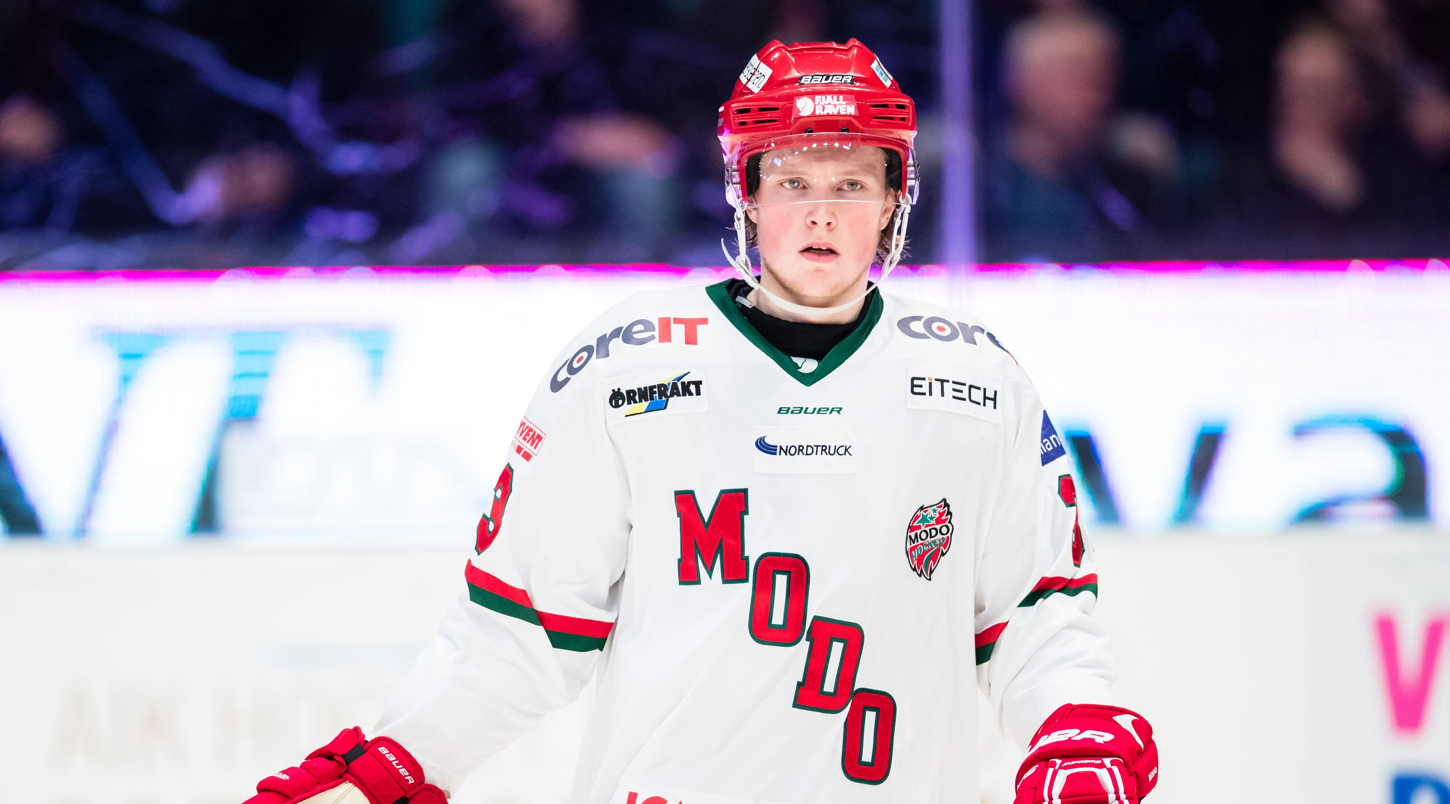 Björklöven värvar från seriekonkurrenten