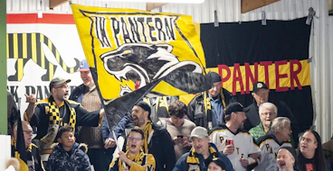 Panternfans