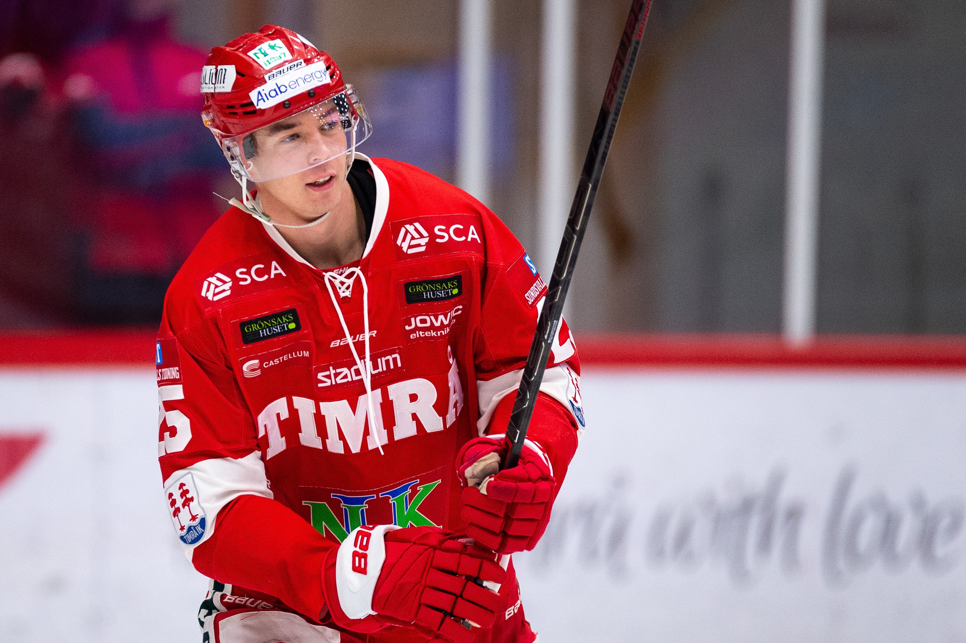 Vita Hästen värvar från Timrå IK