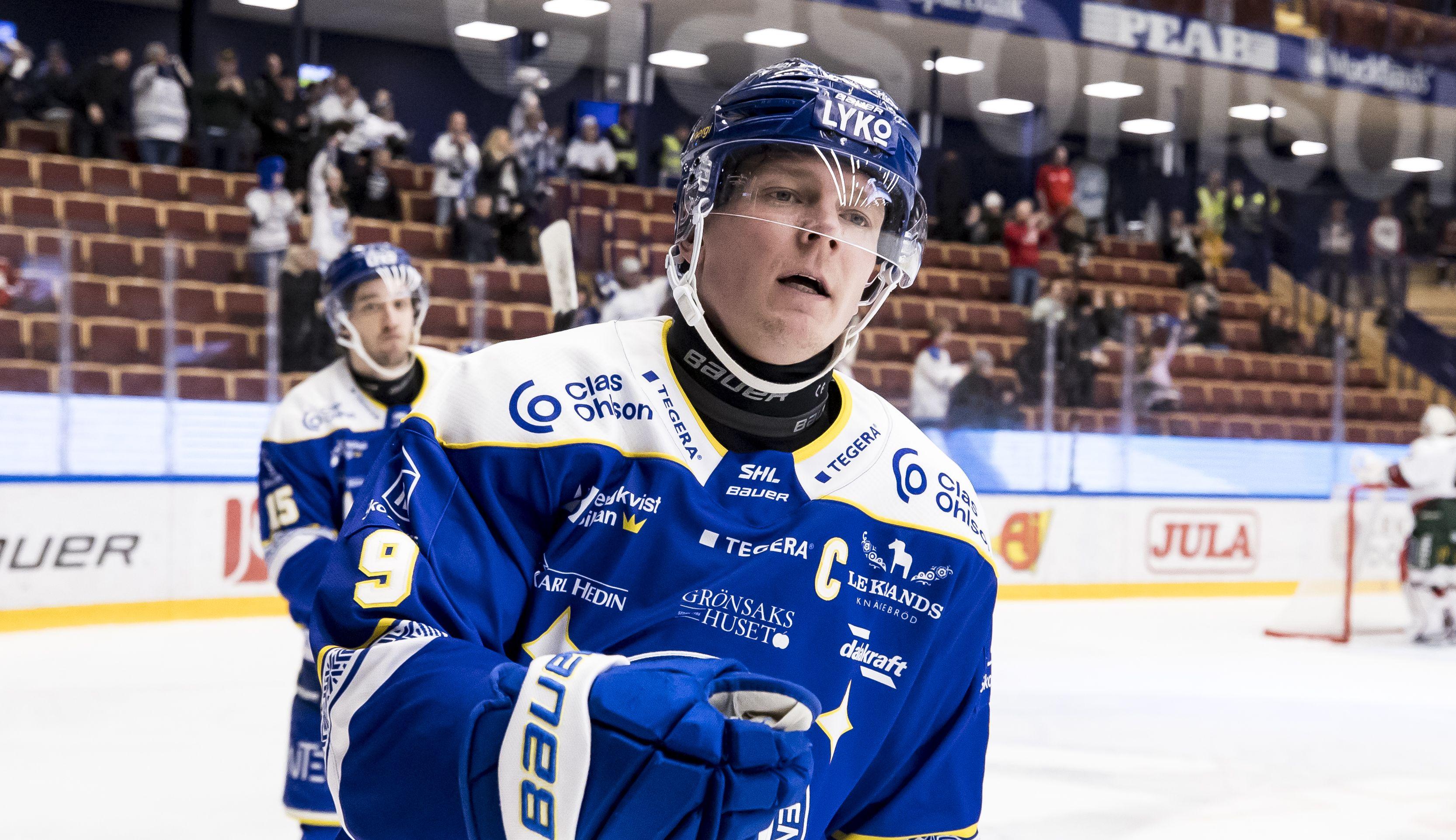Bäckström bedömer: de 15 bästa nyförvärven i Hockeyallsvenskan - del tre