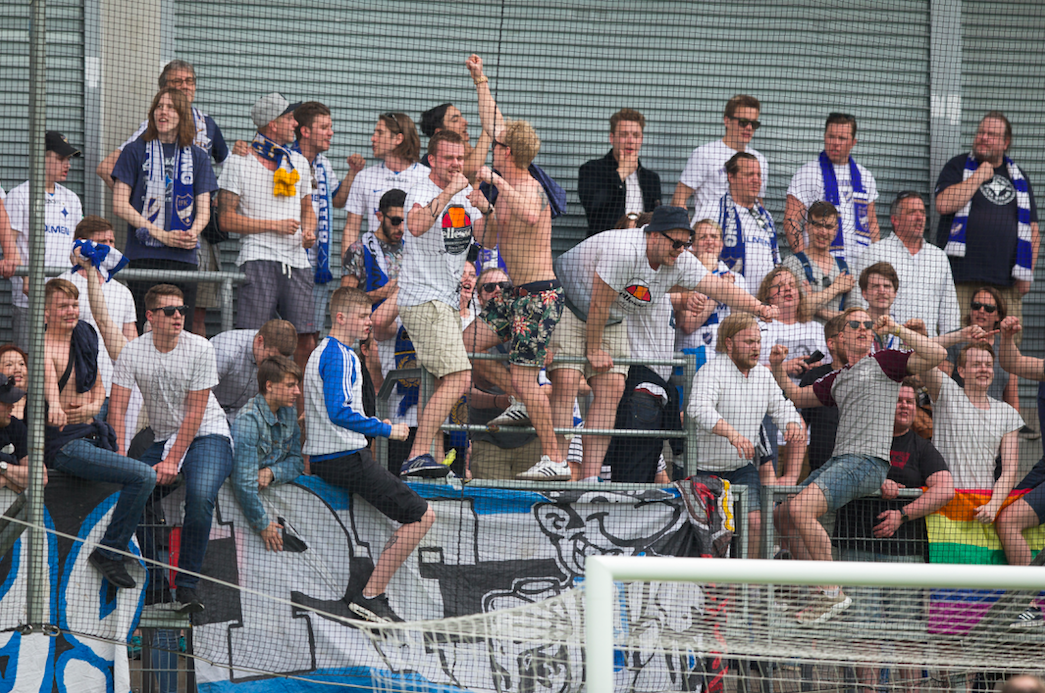 VIDEO: Peking Fanz firar segern med ny låt