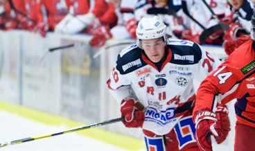 Pelle Hedlund