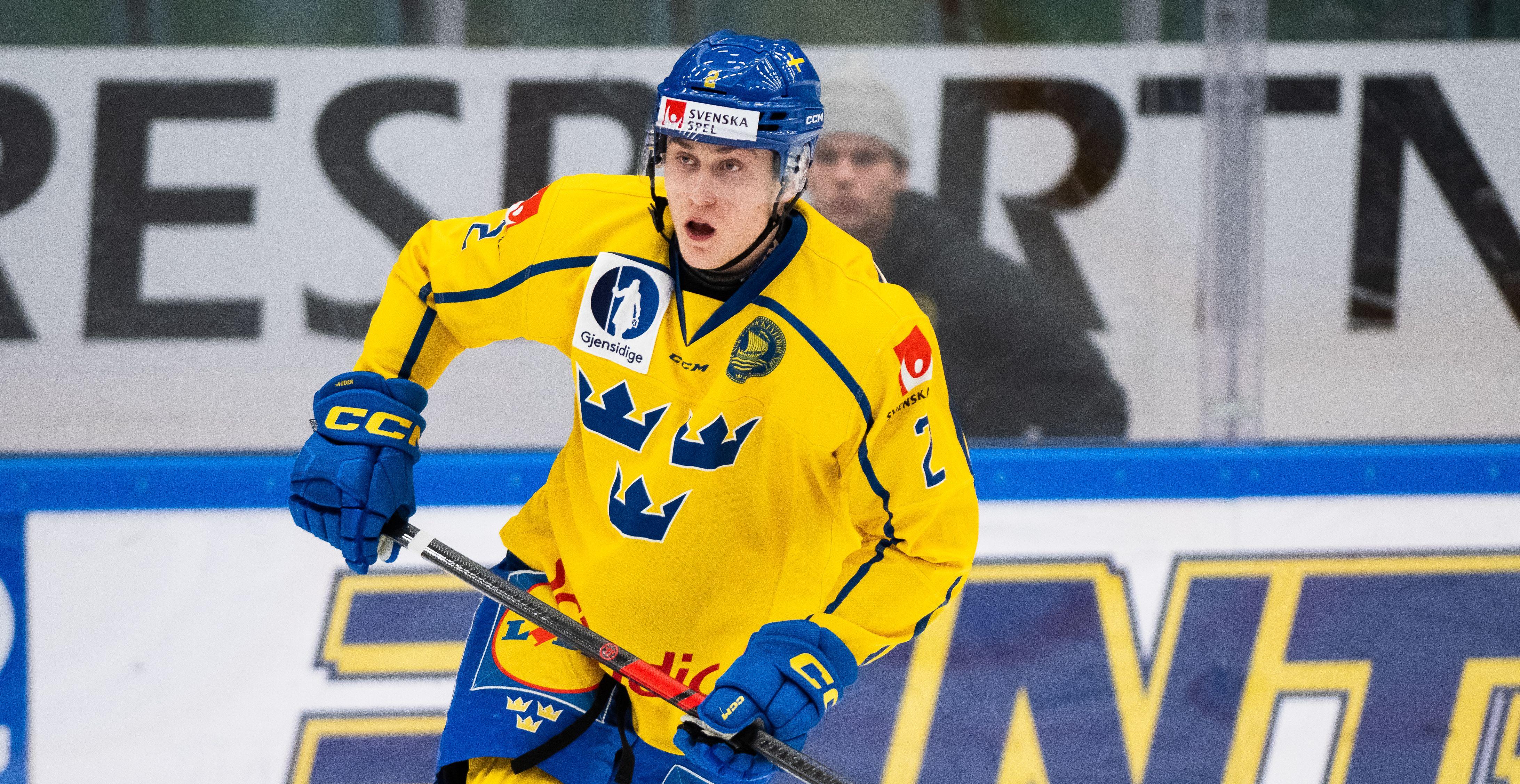 Den NHL-draftade backen förstärker Hockeyettan-toppklubben