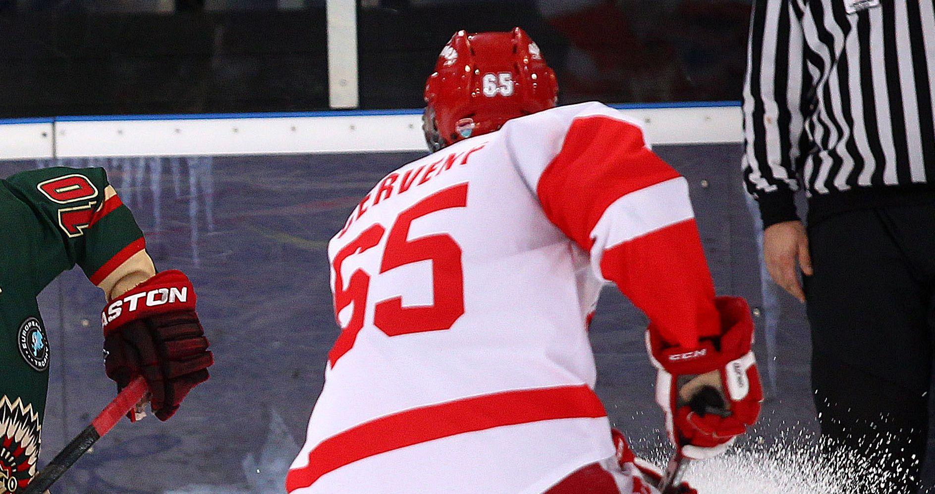 Brynäs-nyförvärvet hyllas