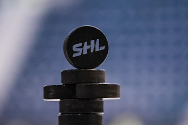 Shl Puckar