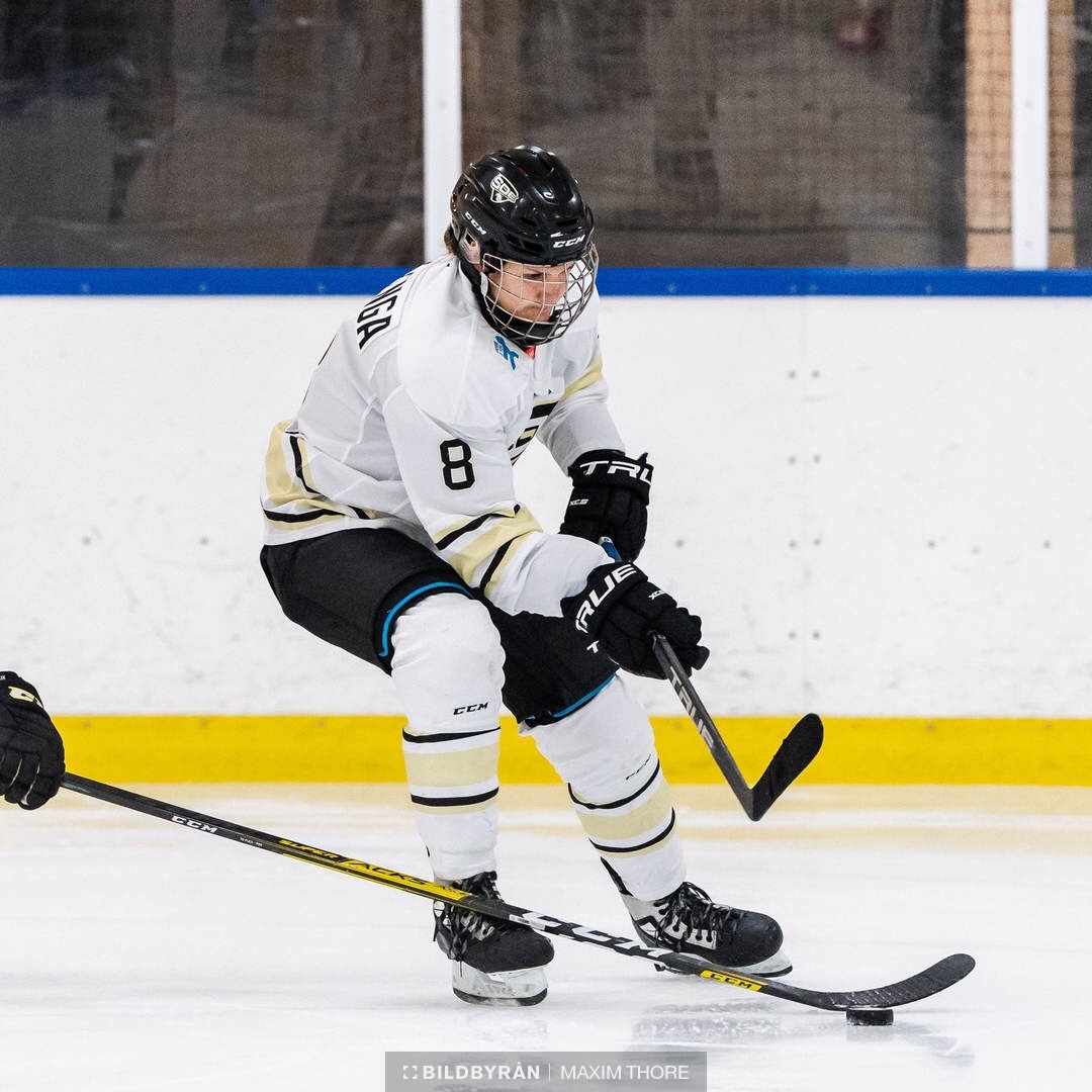 SDHL: INTERVIEW- Savine Wielenga (SDE) - we are a team that fights hard