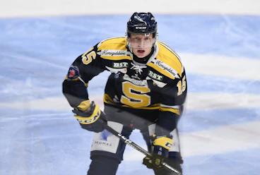Sebastian Hoeglund