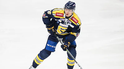 Sebastian Hoeglund