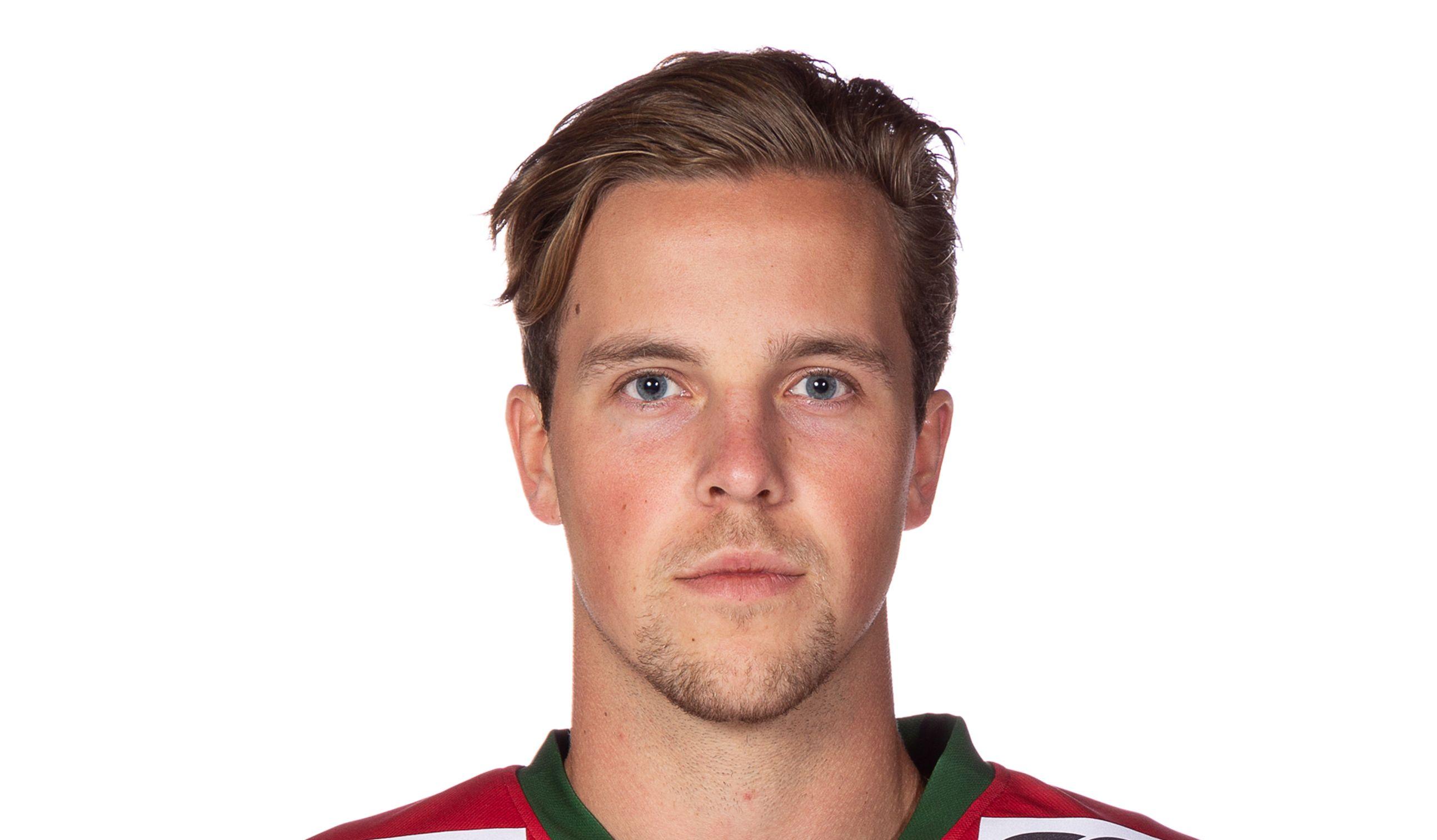 Den juniorlandslagsmeriterade backen med 108 allsvenska matcher på meritlistan blir kvar i Hockeyettan