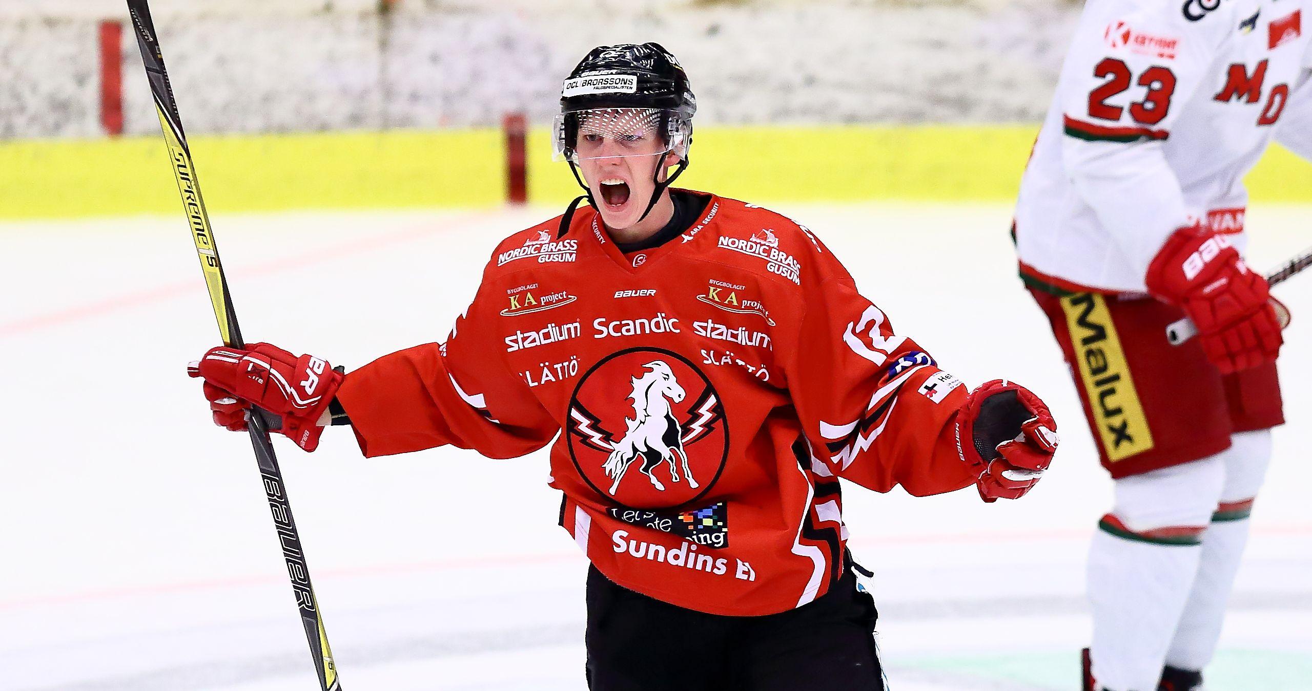 Krekula blir kvar i HockeyAllsvenskan