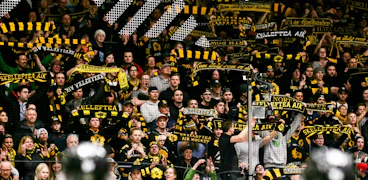 Skellefteafans