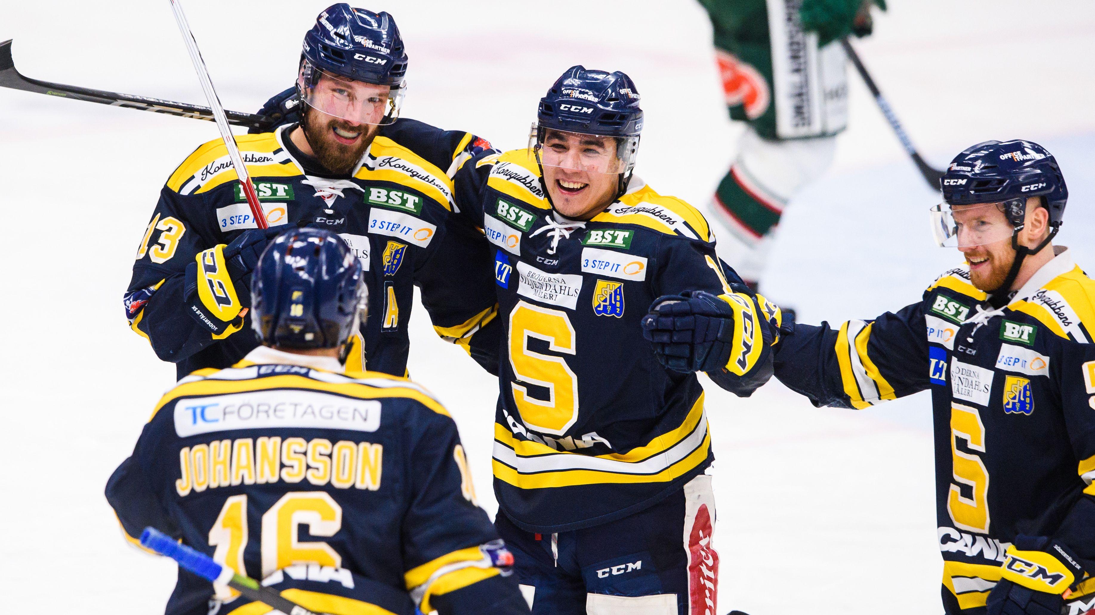 Finansiärerna vill storsatsa på Södertälje - siktar på ett SHL-avancemang senast 2021