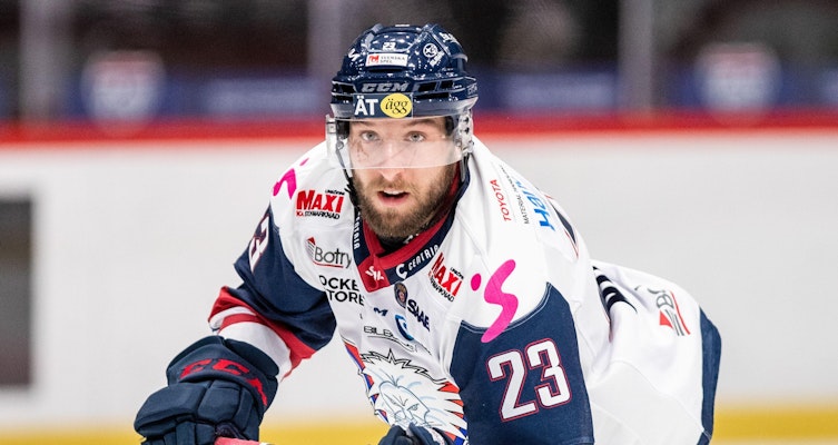 Linköpingsbekantingen återvänder till Nordamerika