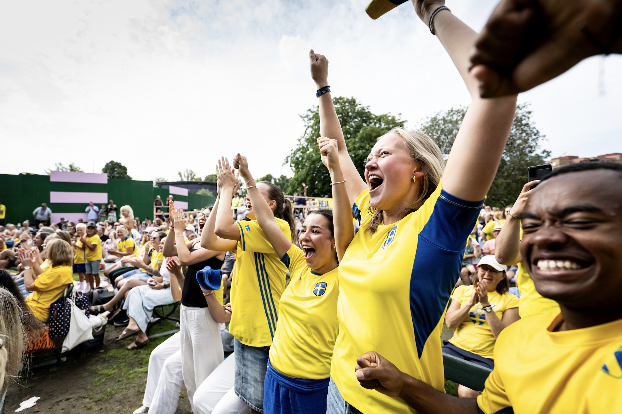 Kostnaden för att visa två av Sveriges VM-matcher på storbild