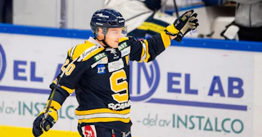 Thom Flodqvist