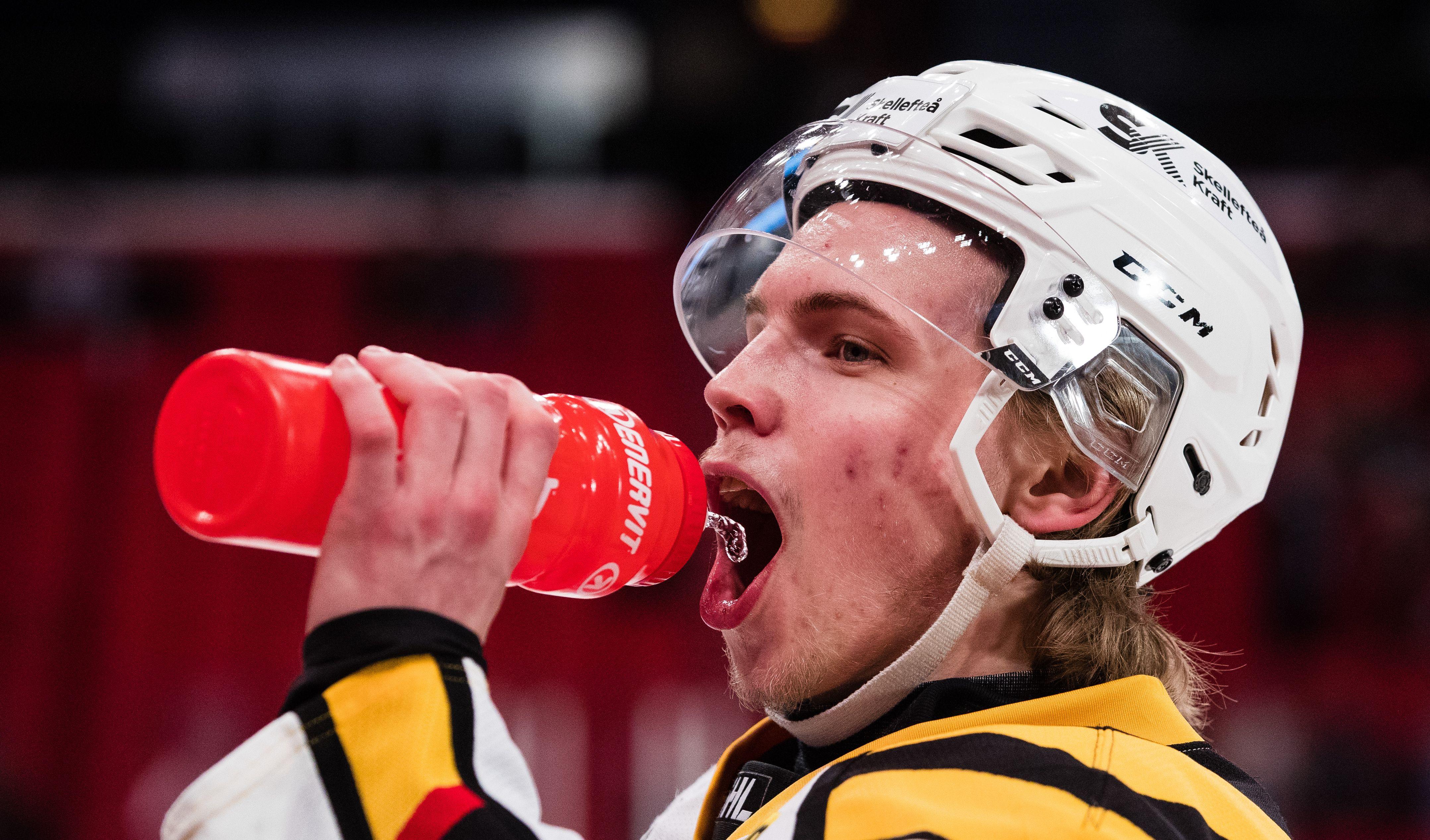 Den AHL-meriterade Skellefteå-bekantingen hamnar i HockeyAllsvenskan