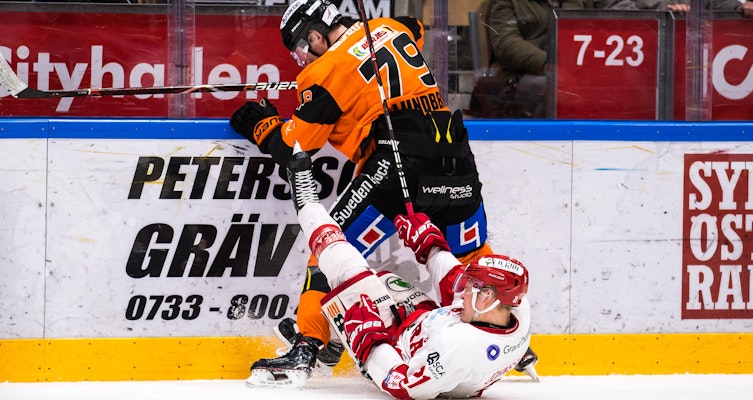 Timrå-forwardens premiär i fara - kan missa mötet mot LHC