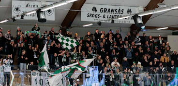 Tingsrydsfans FOTO Jonas Ljungdahl