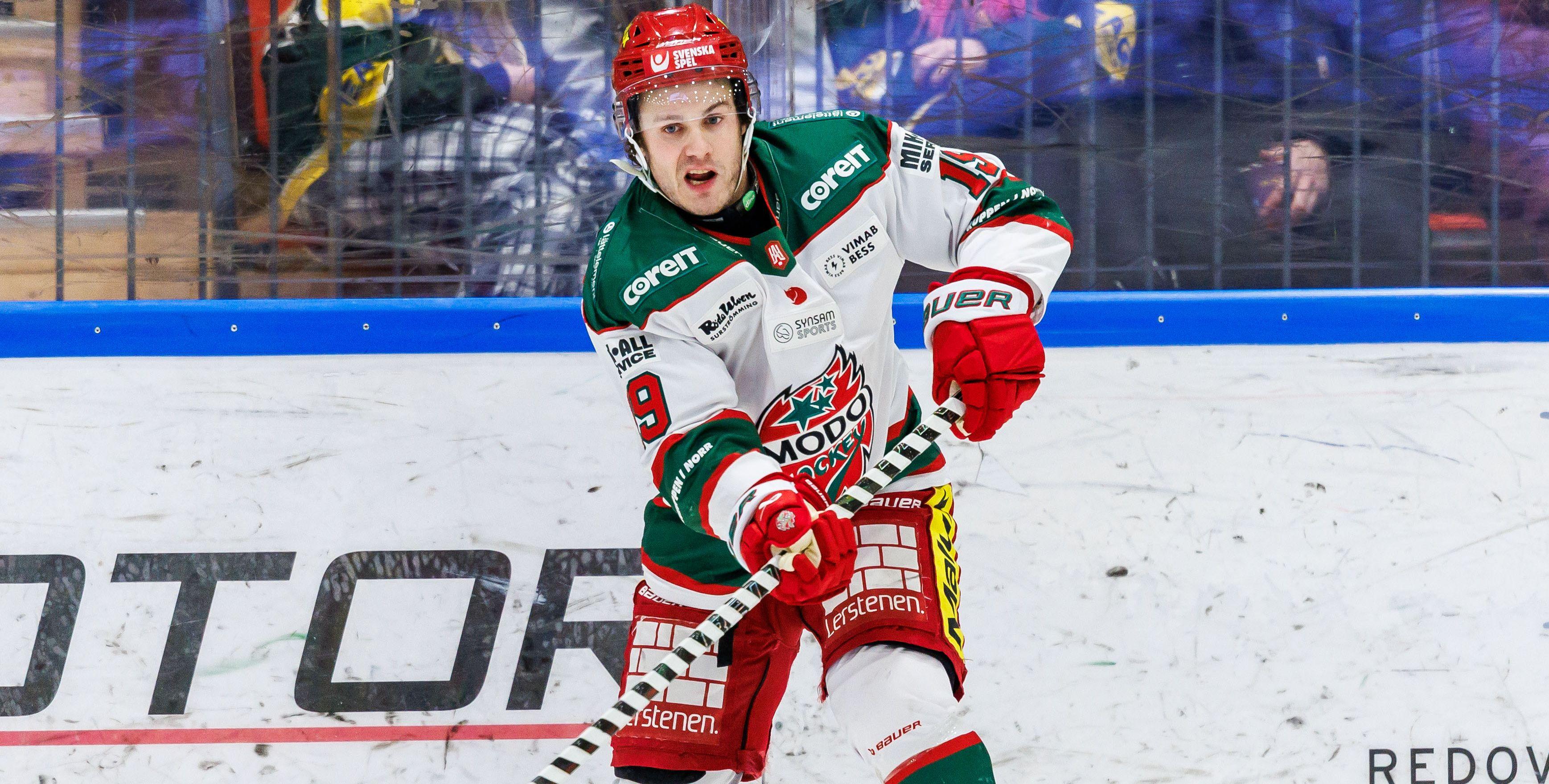 Sportbloggare rankar de tio bästa nyförvärven inför HockeyAllsvenskan 2026/2027 hittills