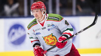 Viktor Amner
