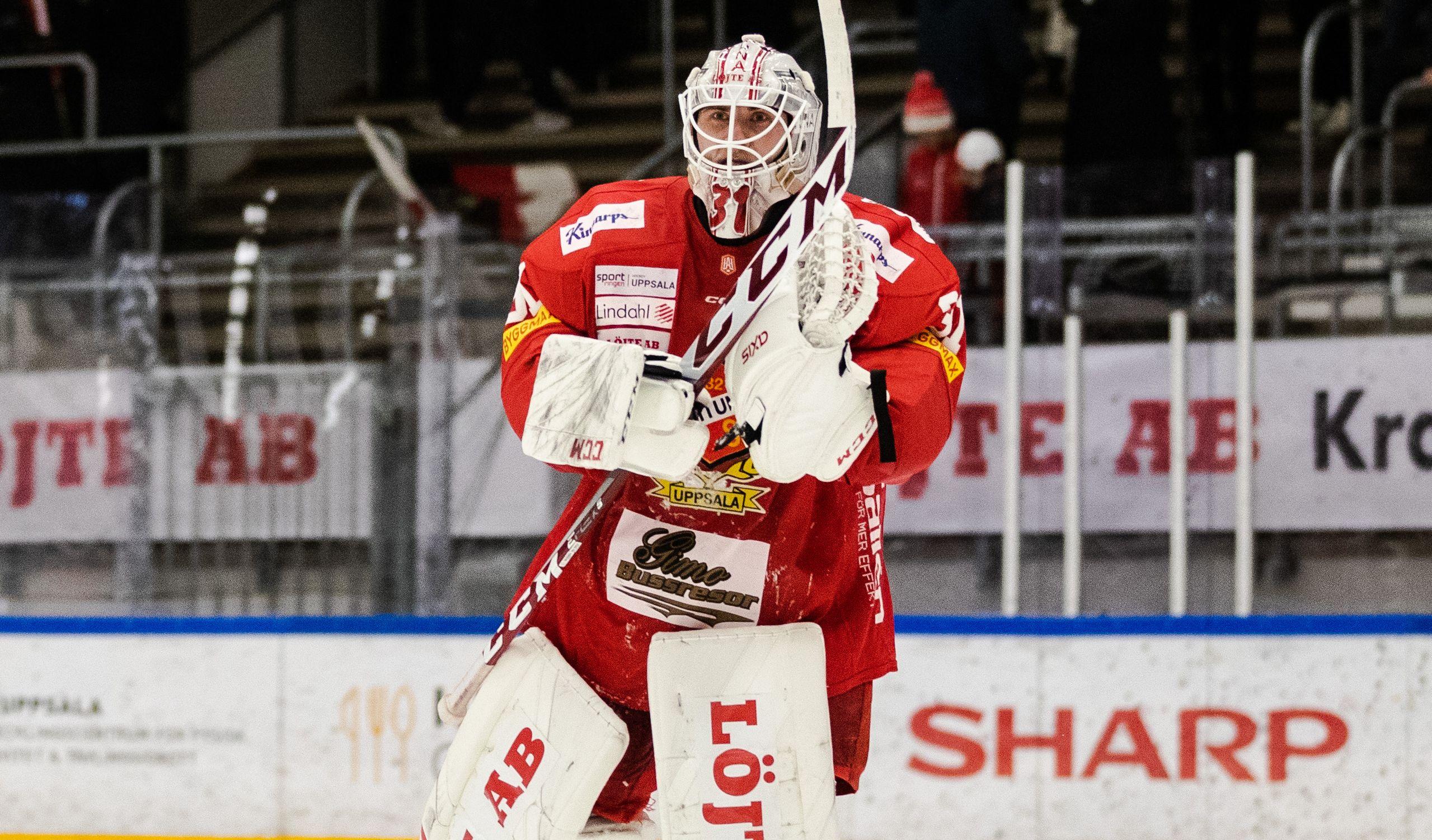 SHL-meriterad målvakt förstärker