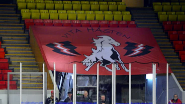 Vita Hästen