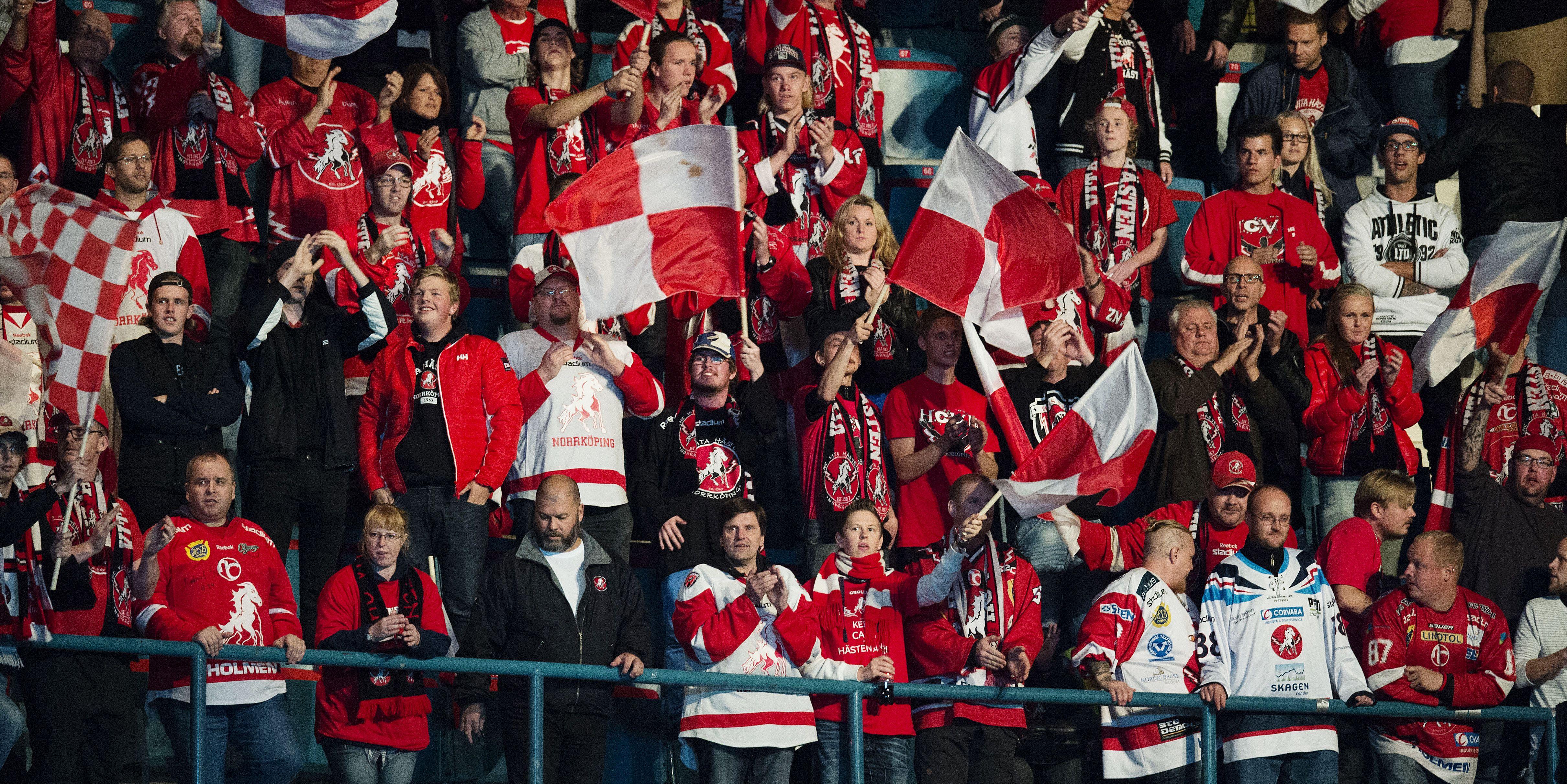 Vita Hästen korttidspermitterar spelare och personal