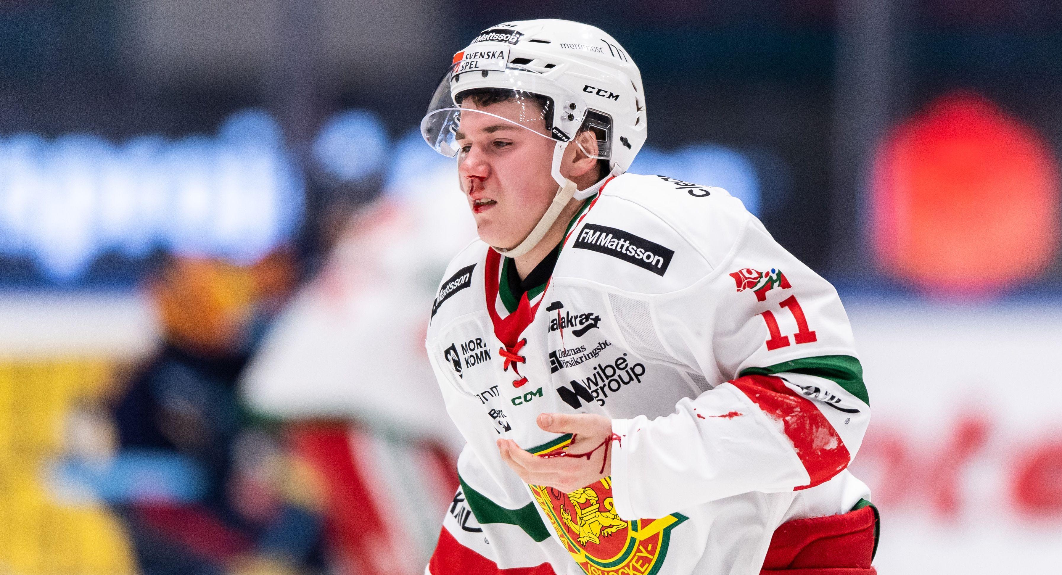 Forwarden med 30 HockeyAllsvenskan-matcher på meritlistan förstärker