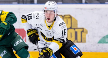 Zeteny Hadobas FOTO Johan Lof