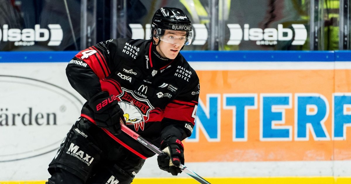 Malmö-backen Martin Schreiber byter SHL-klubb redan 2026?
