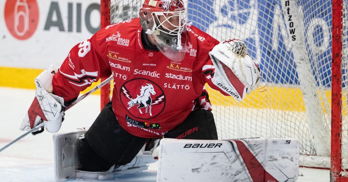 Vita Hästen Hockey : Vita Hästen spelartrupp - HockeyAllsvenskan