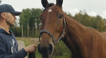 Andelshast trav princess victoria