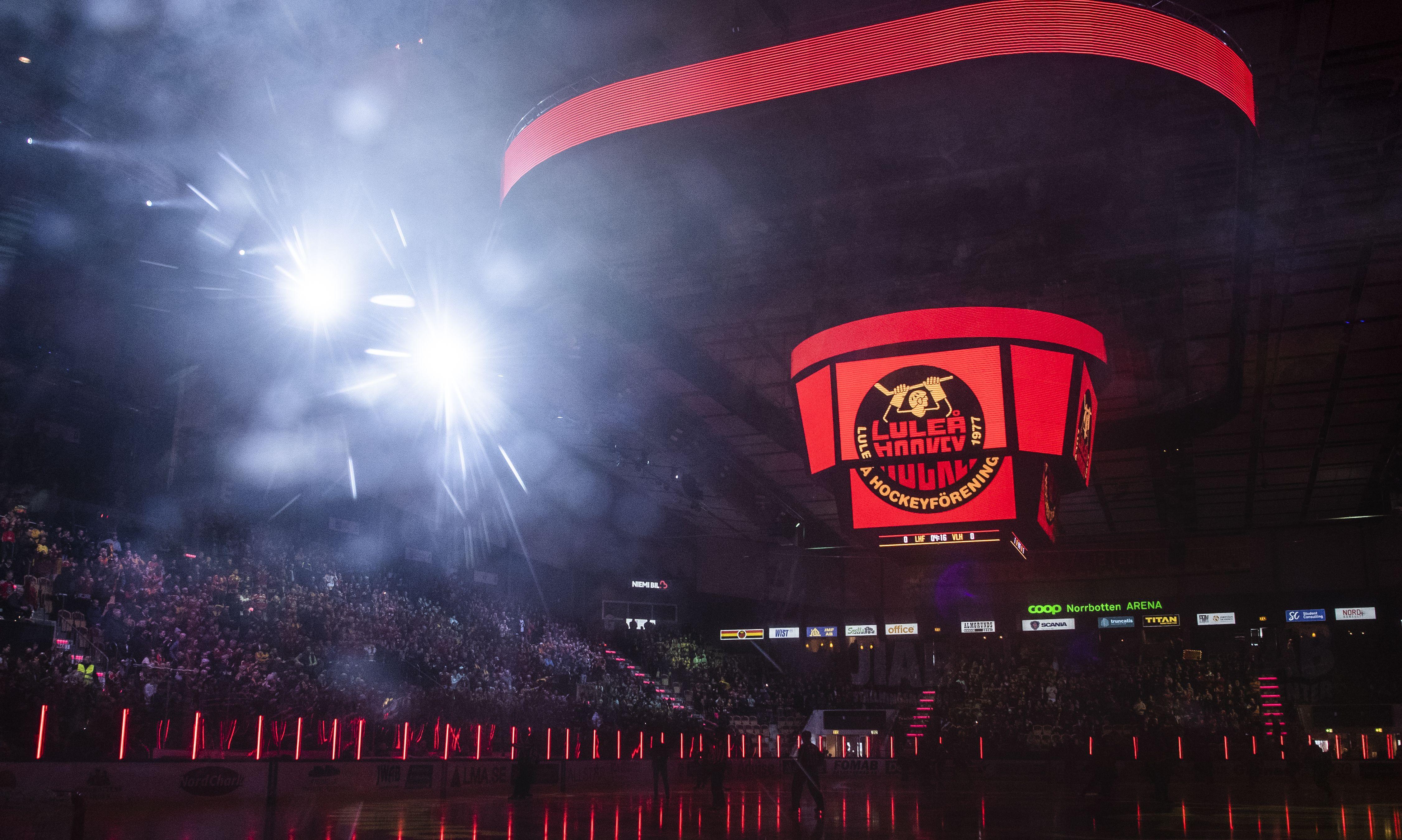 Den målfarlige kanadensaren kan hamna i Luleå