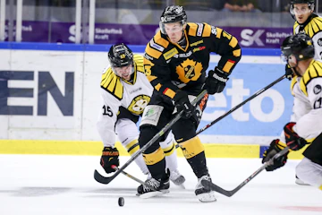 Mikkolehtinen