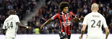 Nice Monaco Cropped